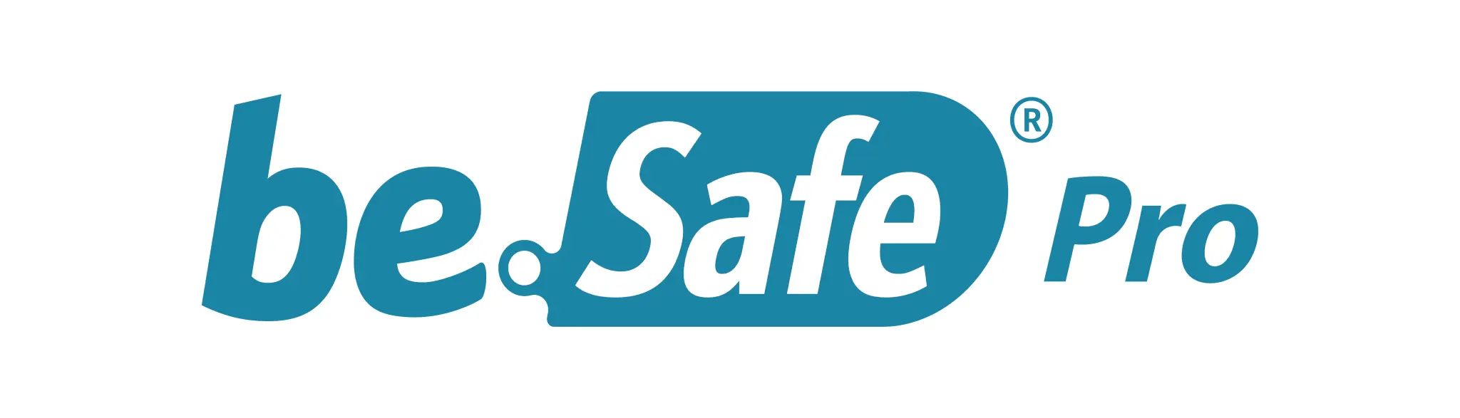 be.Safe Pro Teldat tool